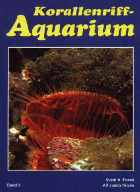 Korallenriff Aquarium Band 5