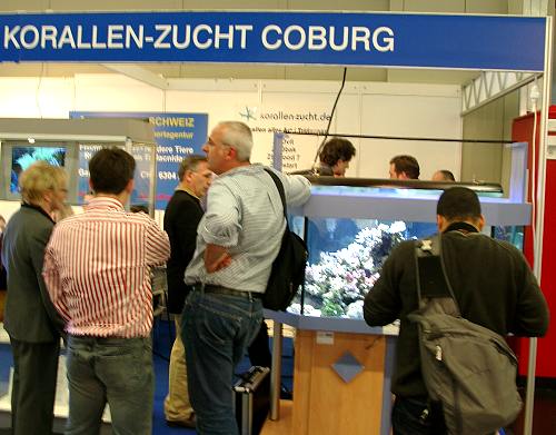 Korallen-Zucht Coburg auf der Interzoo 2004