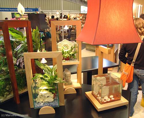 Nano Aquarien - formsch�n in Holz