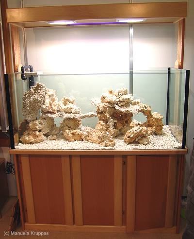 Atelier de Marianne - Meerwasseraquarium