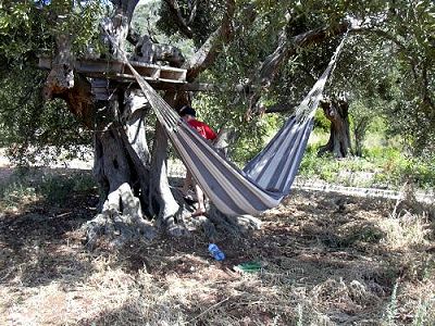 Robinsonurlaub“ in kroatien und seine folgen, von markus köchle