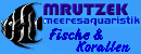 Nachzuchten von FISCHEN und KORALLEN = Meeresaquaristik.de