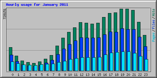 Hourly usage for January 2011